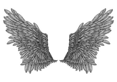 Kanatları resimde kümesi yaymak