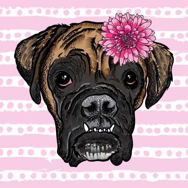Boxer bulldog bär blommor — Stock vektor