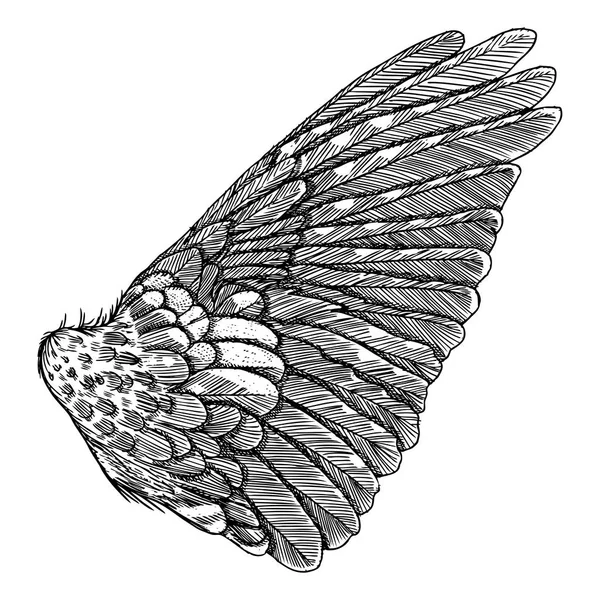 Детальное крыло — стоковый вектор