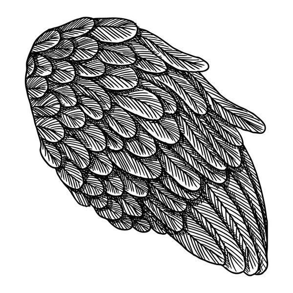 Handen ritade detaljerade wing — Stock vektor