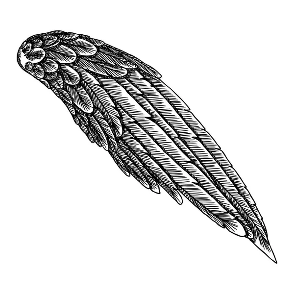 Handgezeichneter detaillierter Flügel — Stockvektor