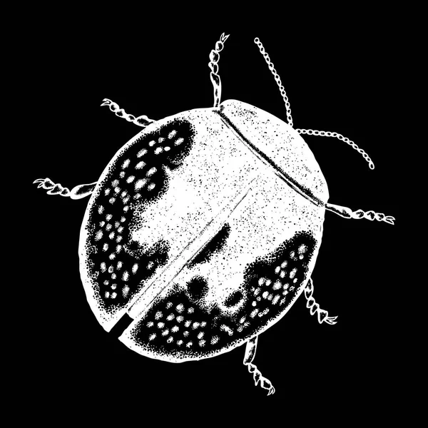 Vintage handgezeichnete Bug Illustration — Stockvektor