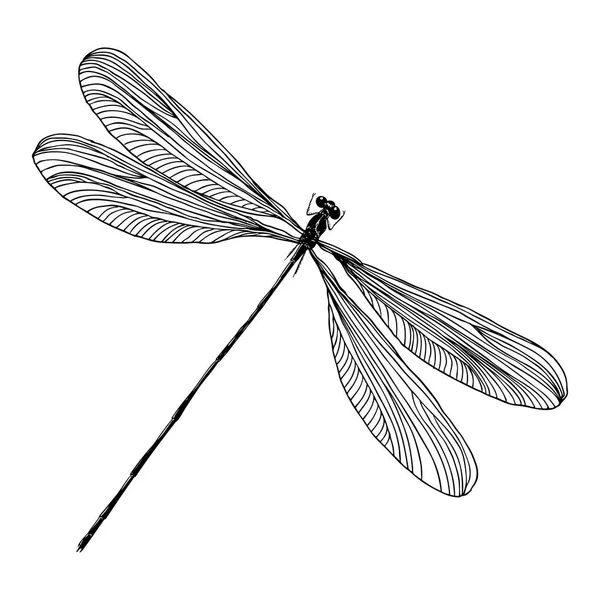 Dragonfly stipple drawing — Stock Vector