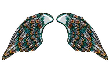 Çift renkli kanatlar yaymak