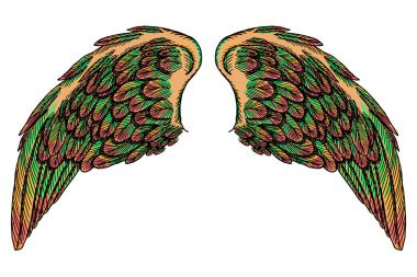 Çift renkli kanatlar yaymak