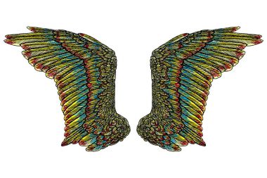 Çift renkli kanatlar yaymak