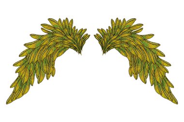 Çift renkli kanatlar yaymak