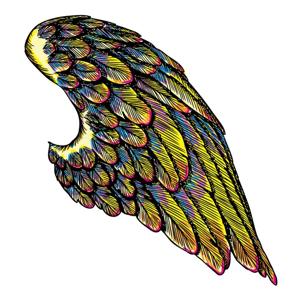 Kolorowe skrzydła rysunek — Wektor stockowy