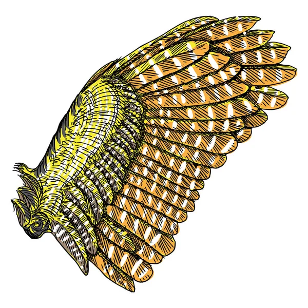 Färgglada wing ritning — Stock vektor