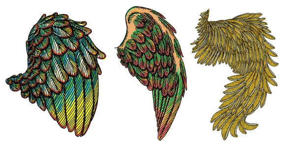 Reihe von bunten Flügeln Illustrationen — Stockvektor