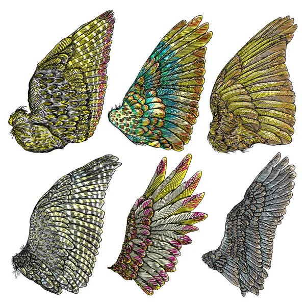 Zestaw ilustracje kolorowe skrzydła — Wektor stockowy