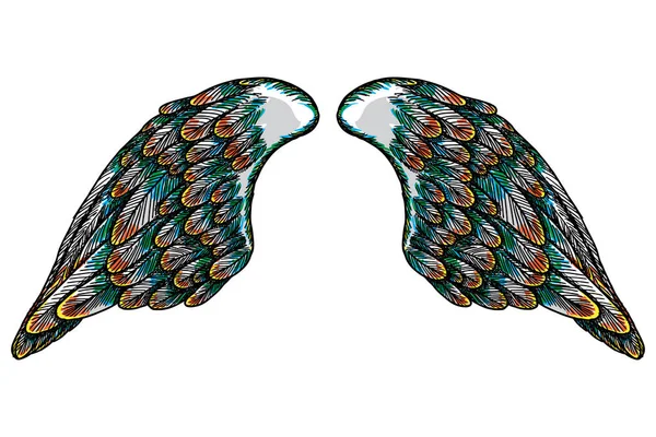 Para kolorowe rozłożone skrzydła — Wektor stockowy