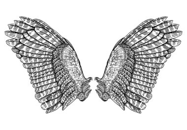Çift elle çizilmiş vintage kanatlar