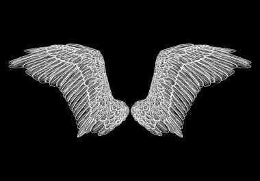 Çift elle çizilmiş vintage kanatlar