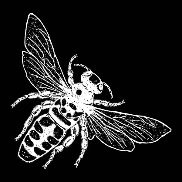 Dibujo de puntada de insecto — Vector de stock