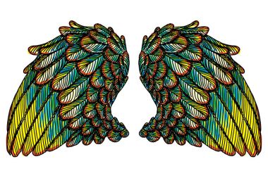 Ve güzel renkli kuş kanatlar 