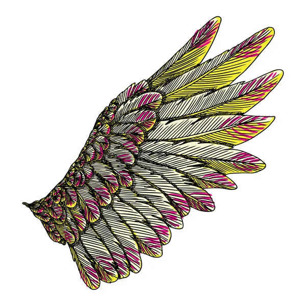 Bunte Flügelzeichnung — Stockvektor