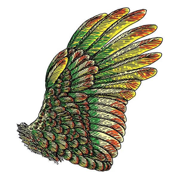 Винтажный красочный рисунок крыльев — стоковый вектор