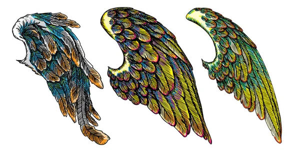 Набор разноцветных птичьих крыльев — стоковый вектор