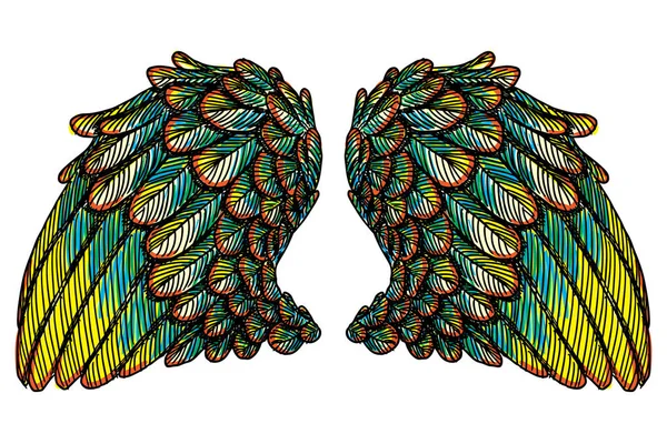 Ensemble d'ailes d'oiseaux colorées — Image vectorielle