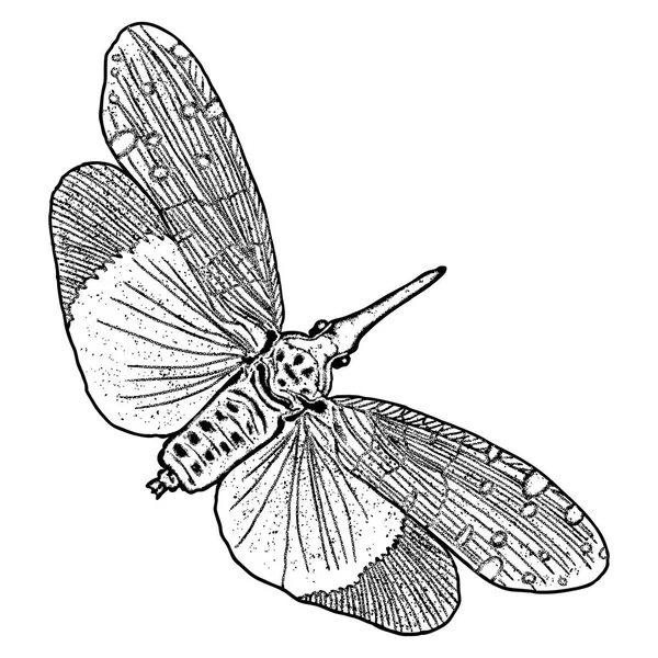 Fliegendes Insekt mit Flügeln Skizze — Stockvektor