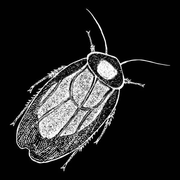 Hmyzu tečkování, kreslení — Stockový vektor