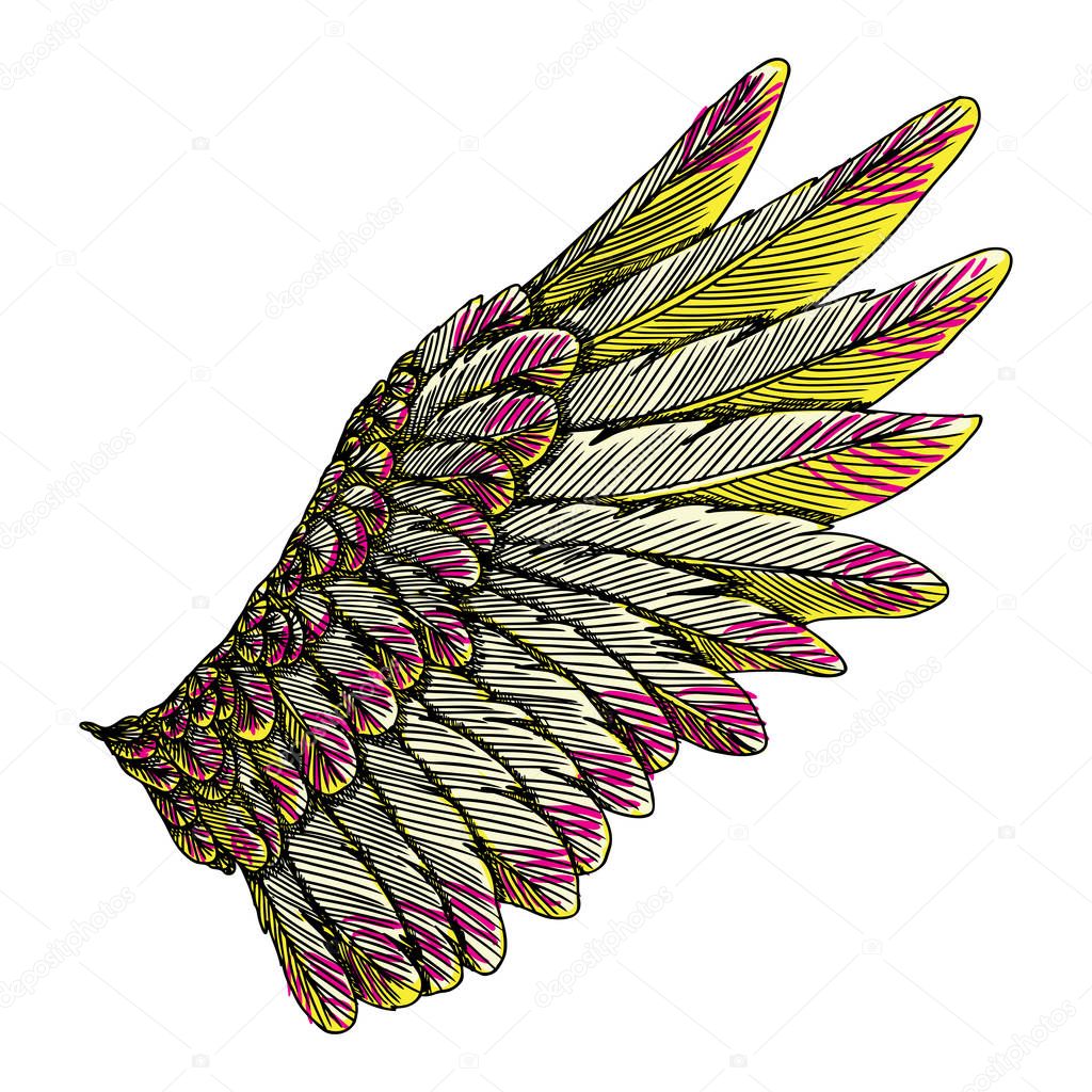 Vintage colourful wing drawing