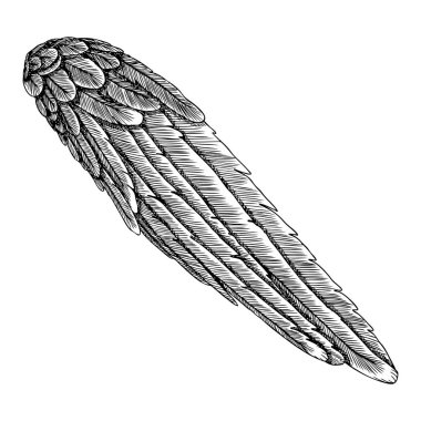 Vintage kanat illüstrasyon