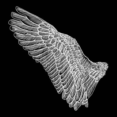 Vintage kanat illüstrasyon