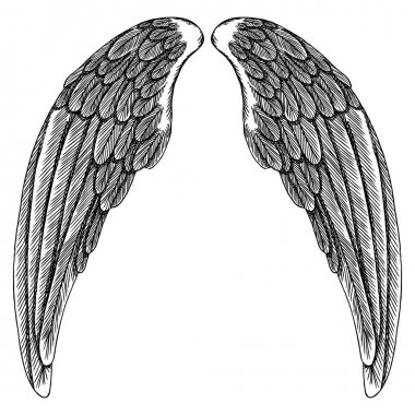 Ve güzel kanatlar yaymak