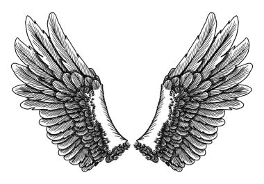 Ve güzel kanatlar yaymak