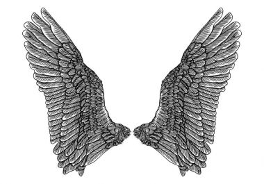 Ve güzel kanatlar yaymak