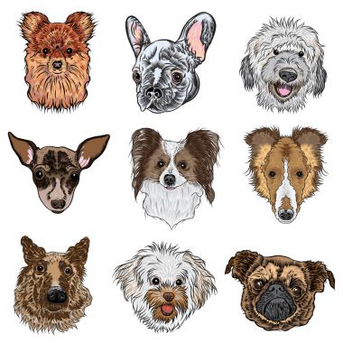 Vektör farklı köpek doğurmak-in ayarla
