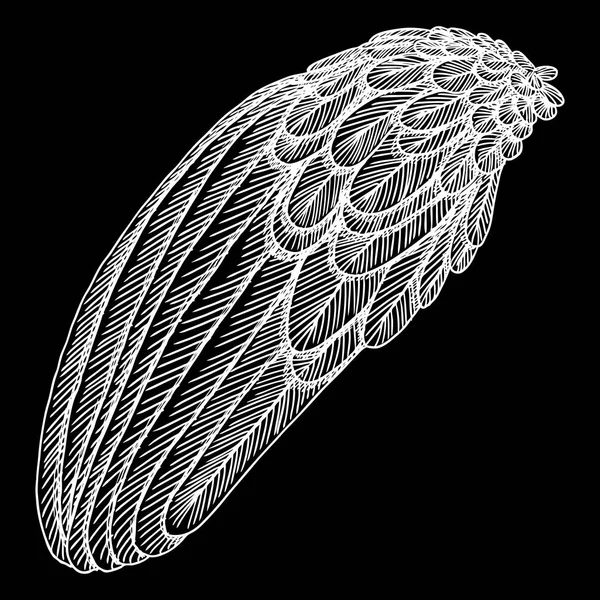 ヴィンテージ翼の図 — ストックベクタ
