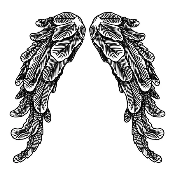 Juego de alas desplegables — Archivo Imágenes Vectoriales
