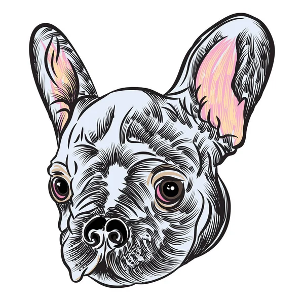 Pequeno cachorrinho Bulldog francês bonito — Vetor de Stock