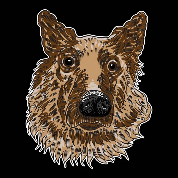 Şirin bir köpeğin portresi — Stok Vektör