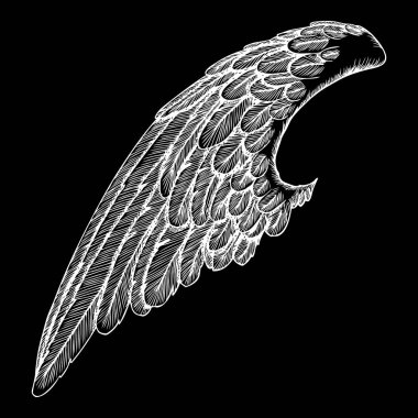 Elle çizilmiş vintage kanat