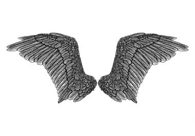 Ve güzel kanatlar yaymak