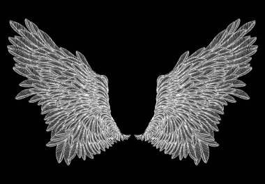 Ve güzel kanatlar yaymak