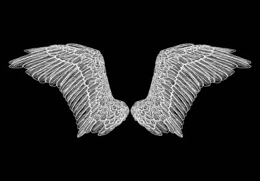 Ve güzel kanatlar yaymak