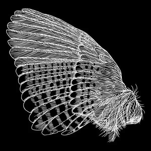 手描きのヴィンテージ翼 — ストックベクタ