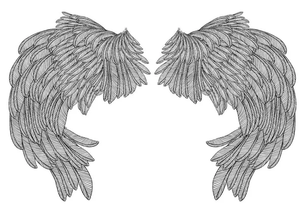 Розтягнутий набір крил — стоковий вектор