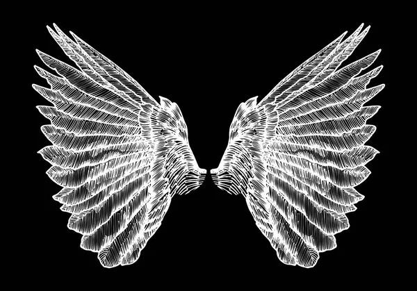 Ensemble d'ailes déployées — Image vectorielle