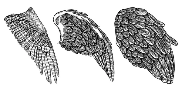 Набір ручних намальованих крил — стоковий вектор
