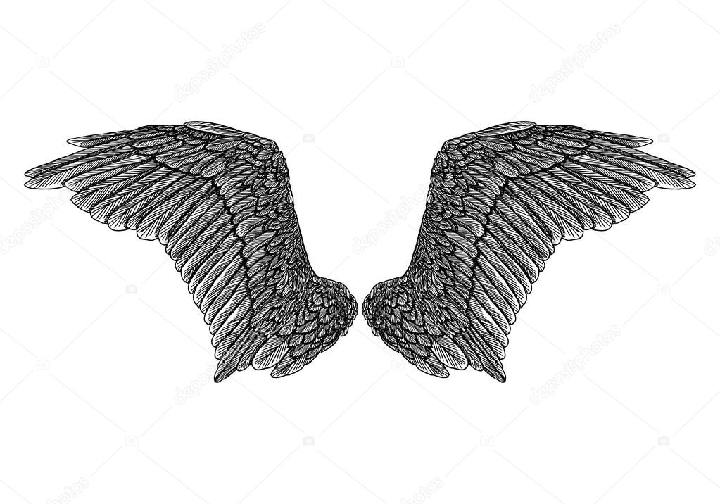 Spread set of wings