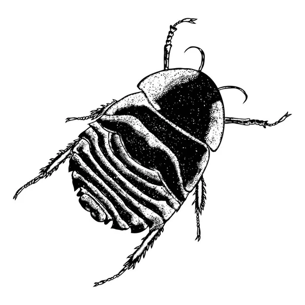 Insect stipple drawing — Stock Vector