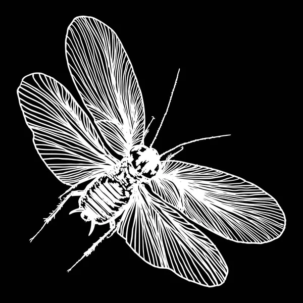 Vliegende insect schets — Stockvector