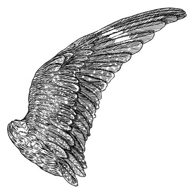 Elle çizilmiş vintage kanat