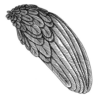 Elle çizilmiş vintage kanat